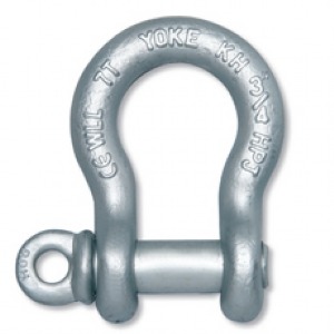 8-807 / Forged Alloy Anchor shackle Shackle